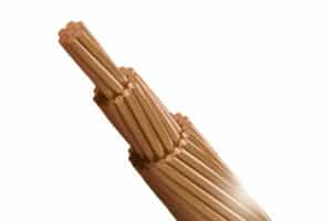 BCC_Stranded-1200x800px-72dpi